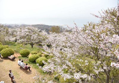 🏞️ 용왕산 공원(류오잔 코엔) 이미지 2